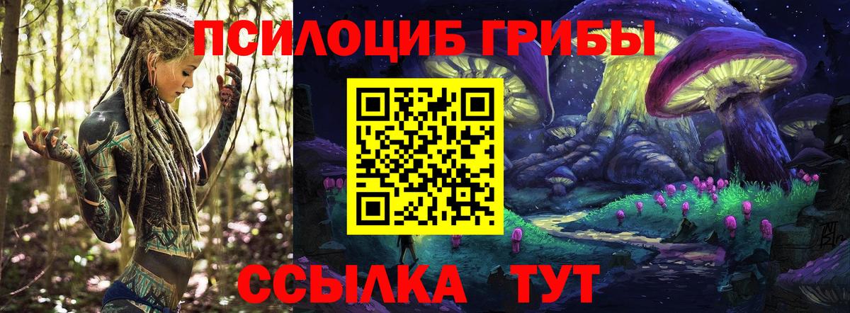 Псилоцибиновые грибы GOLDEN TEACHER  Вход с VPN  Псилоцибиновые грибы Psilocybe  купить   Соликамск 